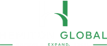 Hemiton Global Logo