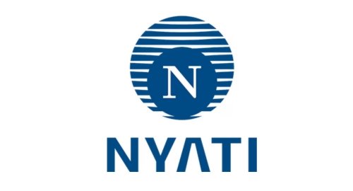 Nyati Group – Hemiton Global Client